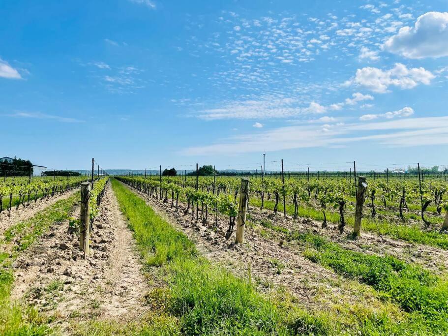 Waterfront Niagara-On-The-Lake Farmhouse On A Vineyard Villa Luaran gambar